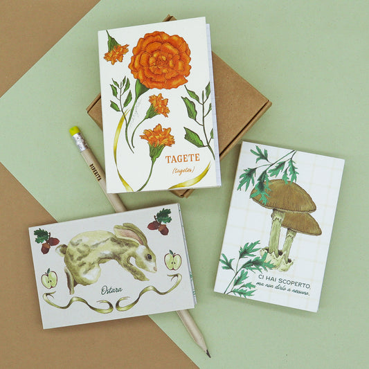 Appunti Pixie di Piperita: blocchi tascabili con grafica botanica, pagine a quadretti e copertina in carta riciclata, perfetti per notes e appunti creativi.