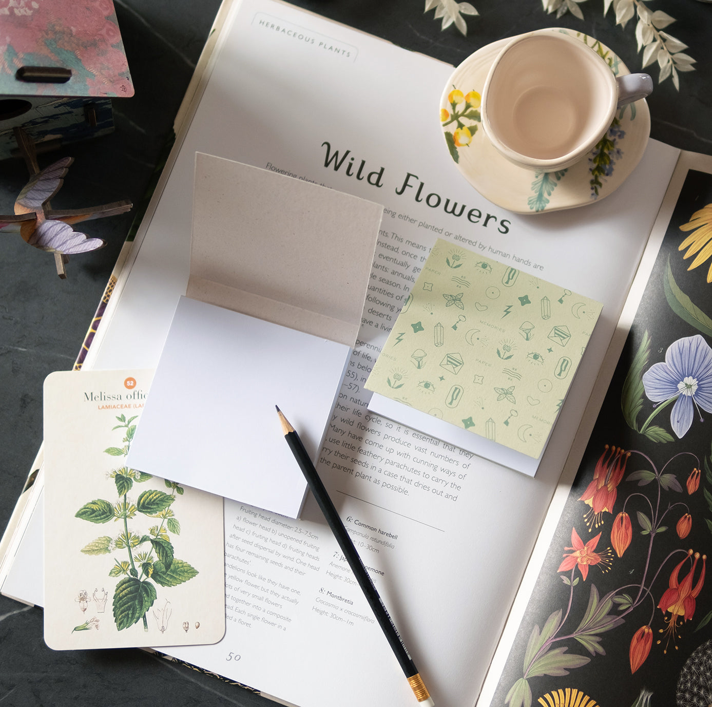 Clementine di Piperita Paper: set 2 mini blocchi 10x10 cm tascabili, pagine bianche, copertine verde e sabbia, perfetti per appunti e memo veloci.