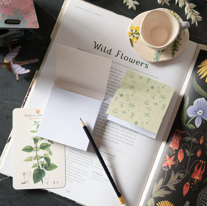 Clementine di Piperita Paper: set 2 mini blocchi 10x10 cm tascabili, pagine bianche, copertine verde e sabbia, perfetti per appunti e memo veloci.